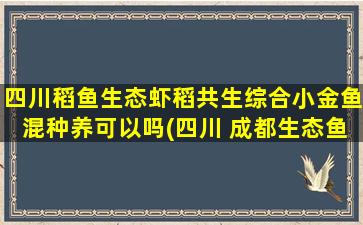 四川稻鱼生态虾稻共生综合小金鱼混种养可以吗(四川 成都生态鱼公司)